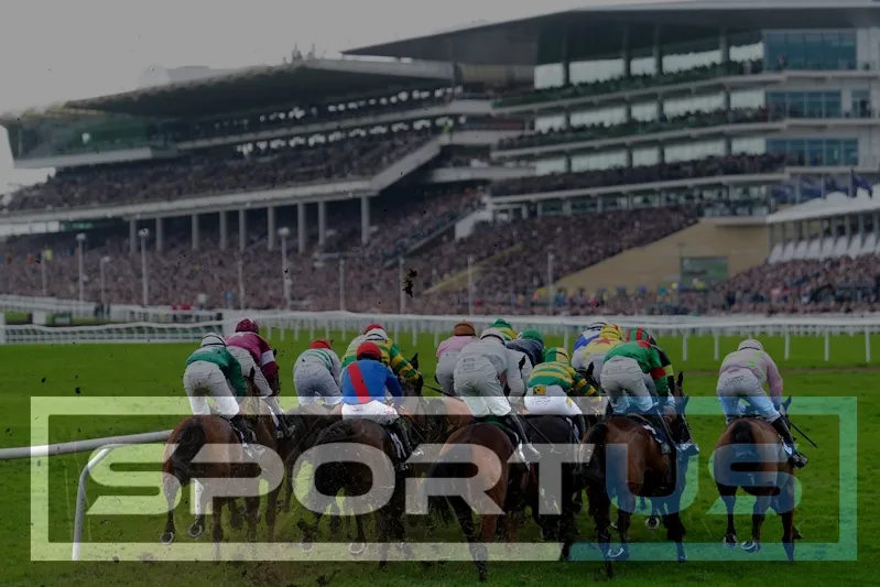 Why Cheltenham Festival Creates Stronger Daily Narratives Than Ordinary Meetings