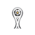 copa sudamericana